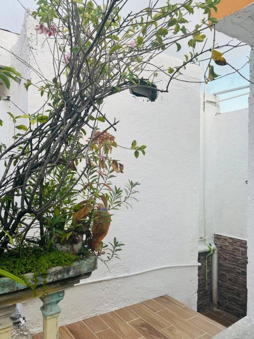 Alojamiento En La Calle 56 Playa Del Carmen Kültér fotó